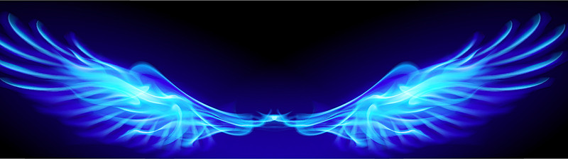 FlowWings-1